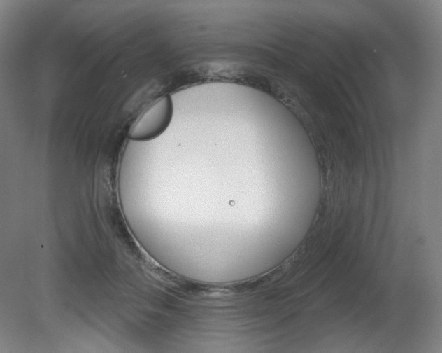 X0000080740506200612150935