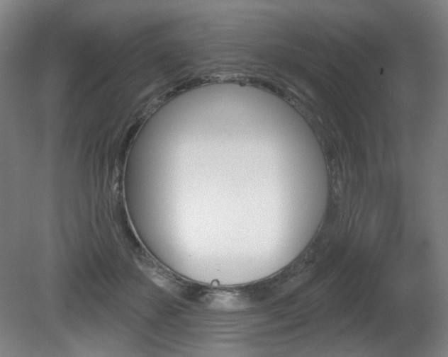 X0000080740507200612150935