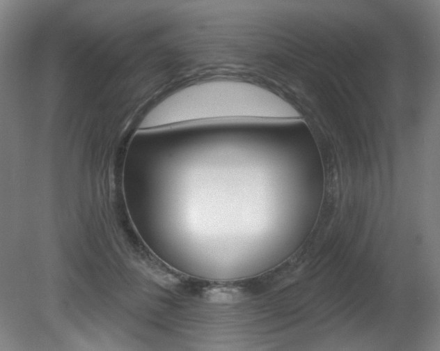 X0000080740508200612150935