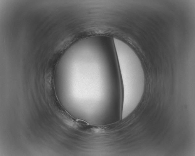 X0000080740509200612150935