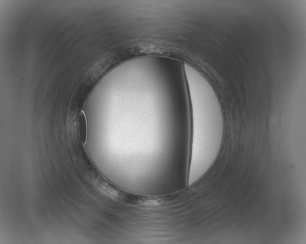 X0000080740513200612150935