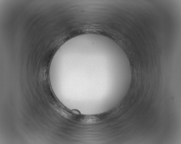 X0000080740514200612150935