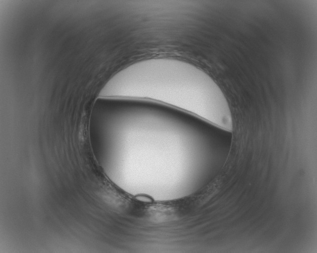 X0000080740515200612150935