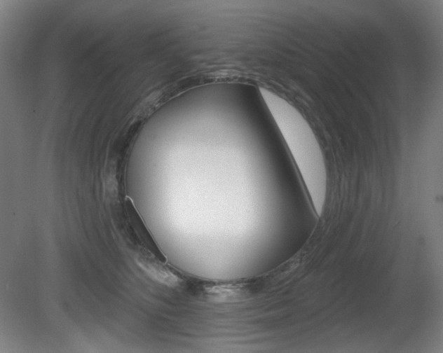 X0000080740516200612150935