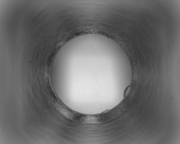 X0000080740518200612150935