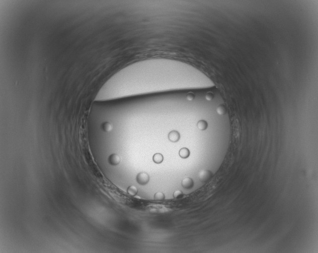 X0000080740519200612150935