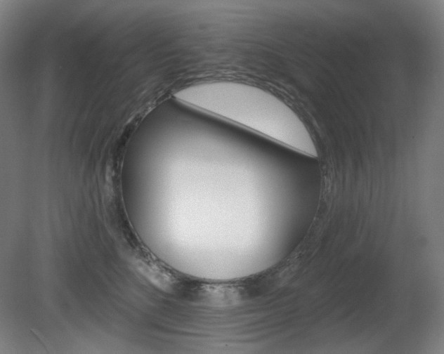 X0000080740520200612150935