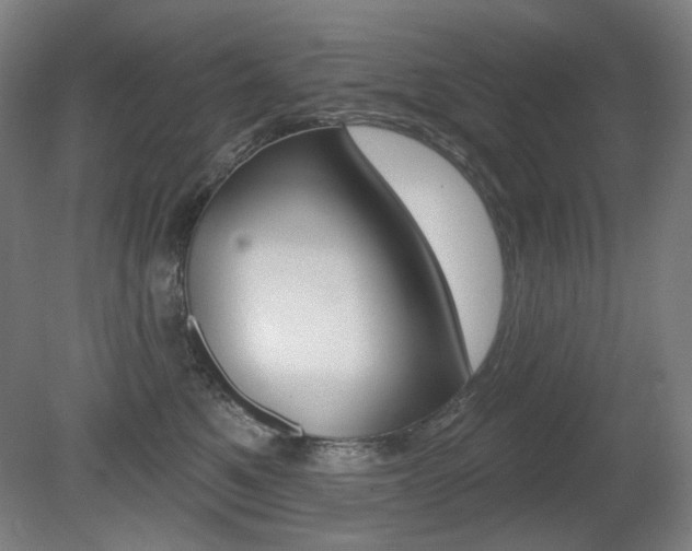 X0000080740521200612150935