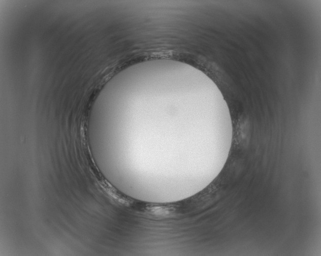 X0000080740522200612150935