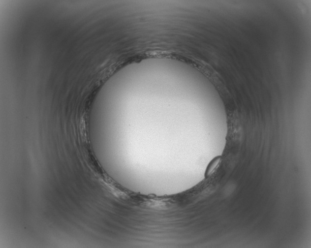 X0000080740523200612150935