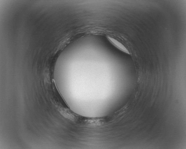 X0000080740524200612150935