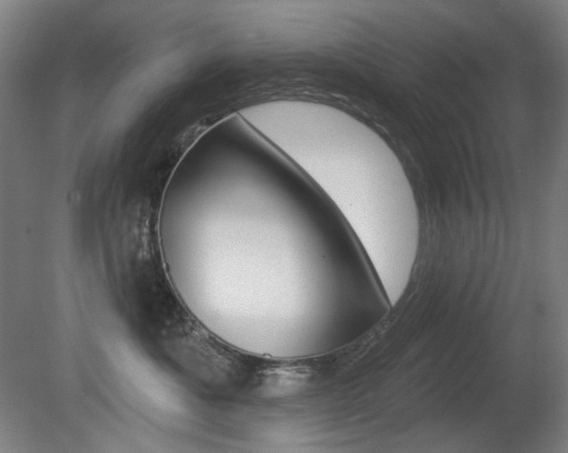 X0000080740525200612150935