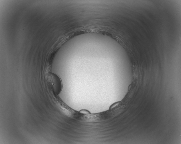 X0000080740526200612150935