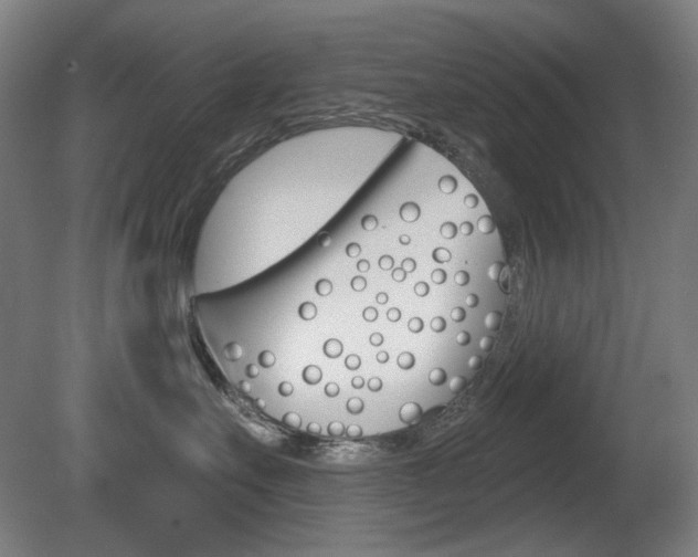 X0000080740527200612150935