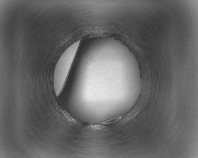 X0000080740528200612150935