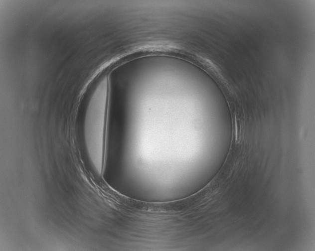 X0000080740531200612150934