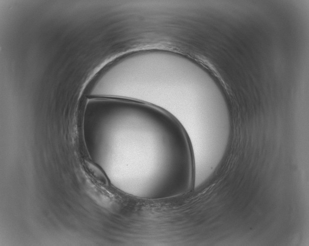 X0000080740532200612150934