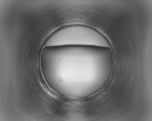 X0000080740533200612150934