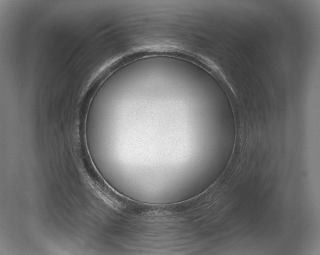 X0000080740535200612150934