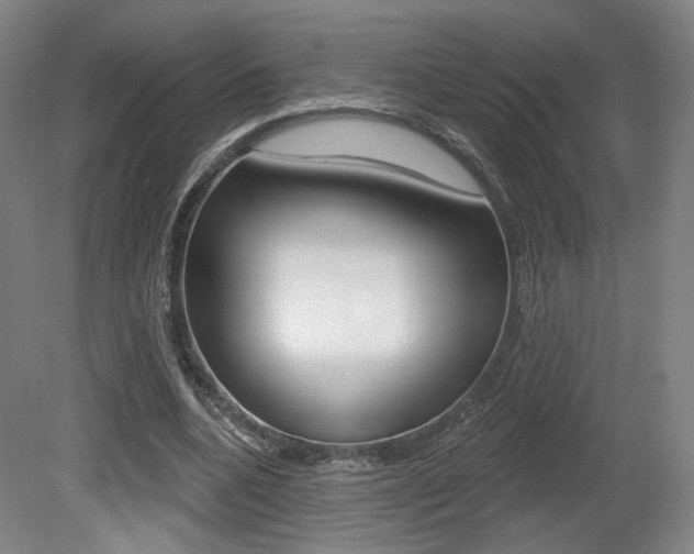 X0000080740536200612150934