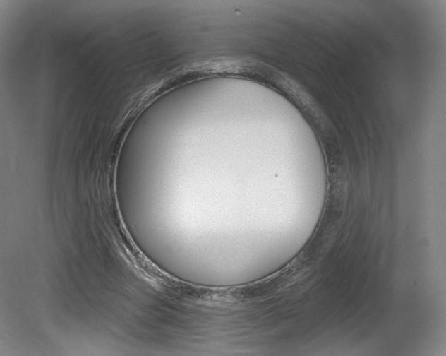 X0000080740537200612150934