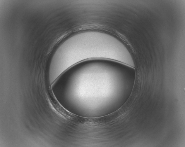 X0000080740538200612150934