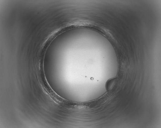 X0000080740539200612150934