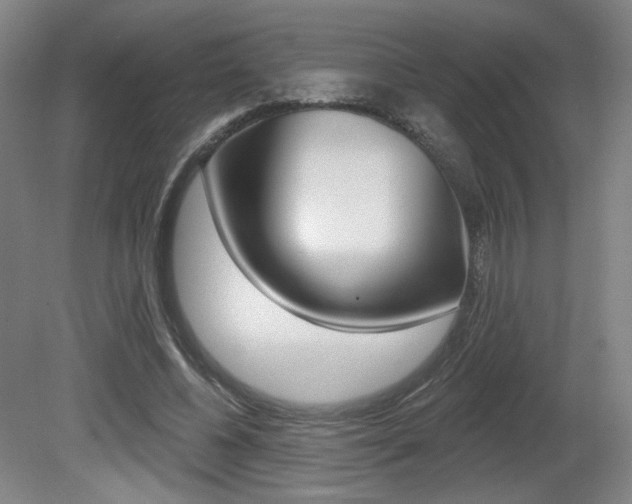 X0000080740540200612150934