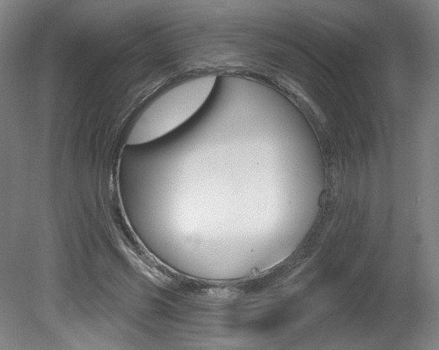 X0000080740541200612150934