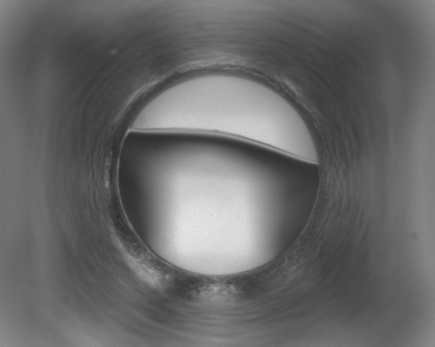 X0000080740543200612150934