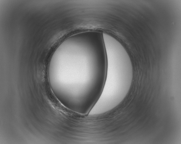 X0000080740544200612150934