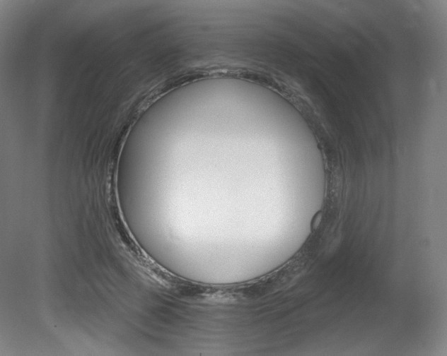 X0000080740545200612150935