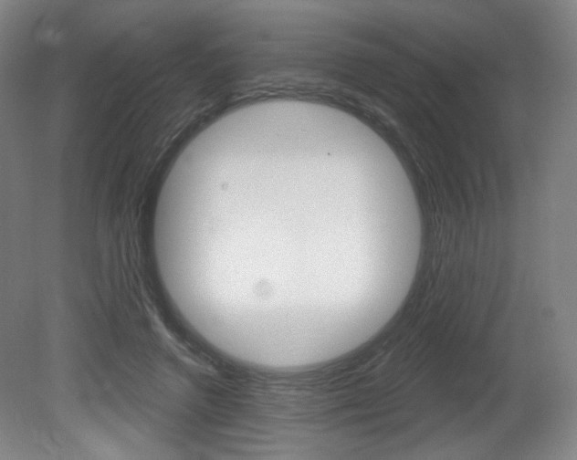 X0000080740546200612150935