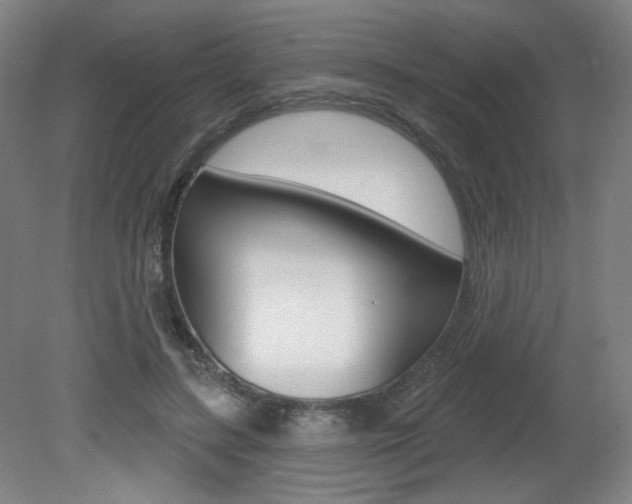 X0000080740547200612150935
