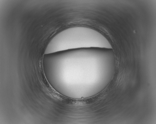 X0000080740549200612150935