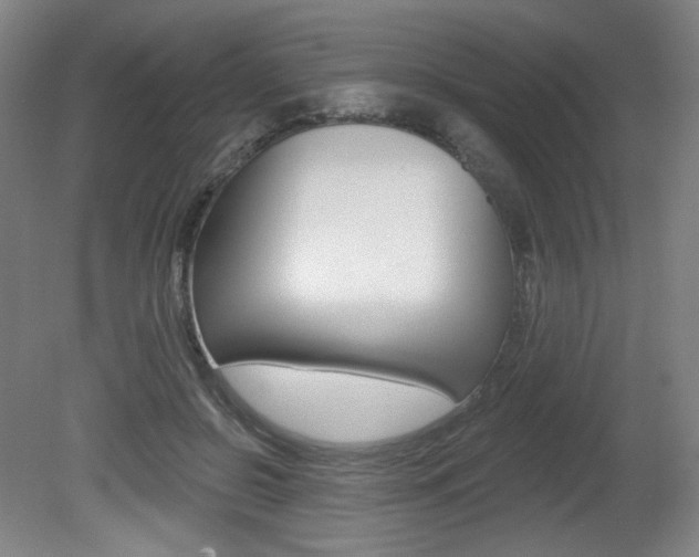 X0000080740550200612150935