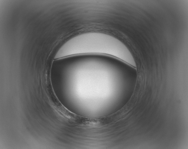 X0000080740552200612150935