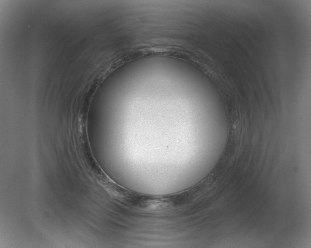 X0000080740555200612150935