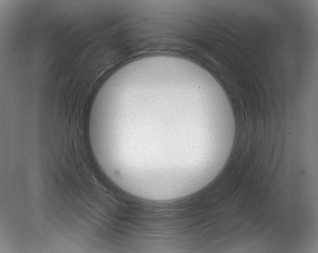 X0000080740556200612150935