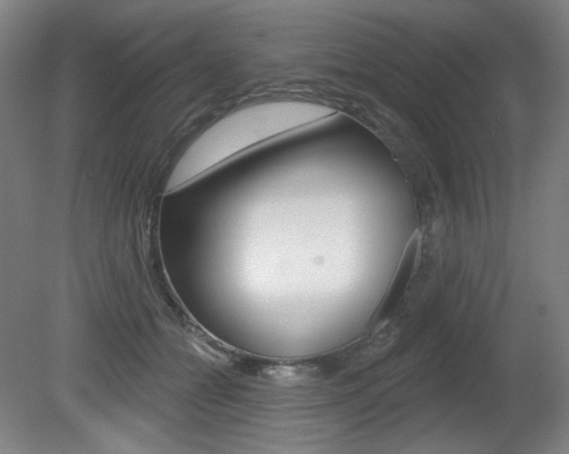 X0000080740558200612150935