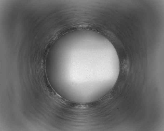 X0000080740559200612150935