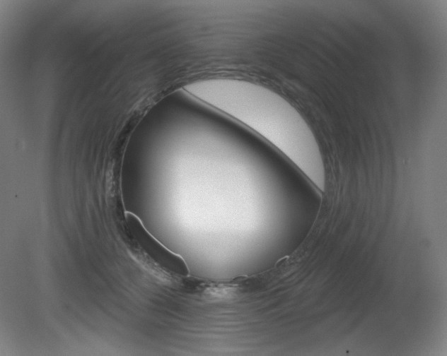 X0000080740560200612150935
