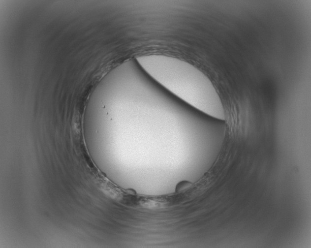 X0000080740561200612150935
