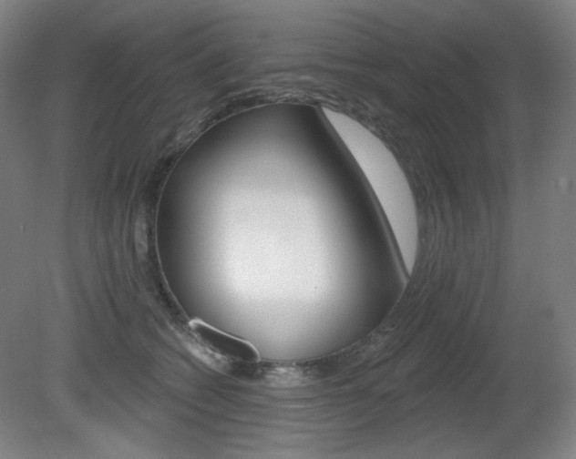 X0000080740562200612150935
