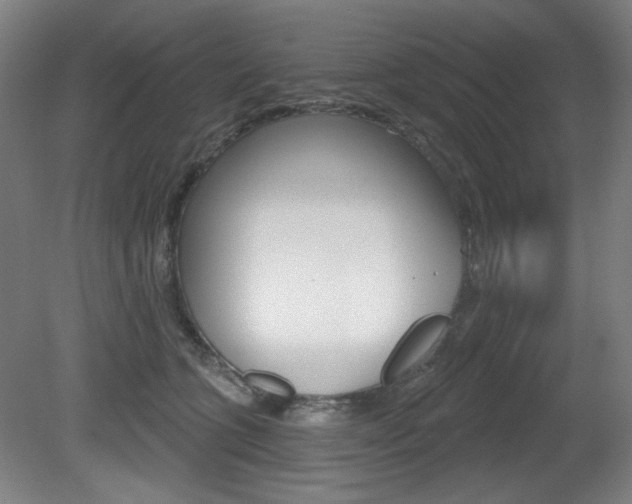 X0000080740563200612150935