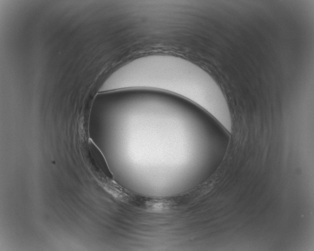X0000080740564200612150935