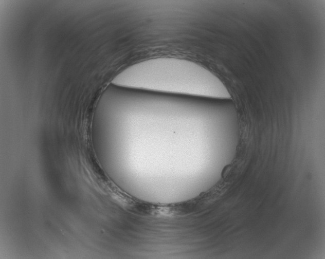 X0000080740565200612150935