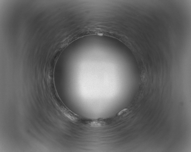 X0000080740566200612150935