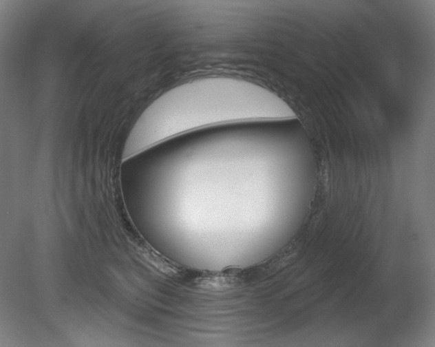 X0000080740567200612150935