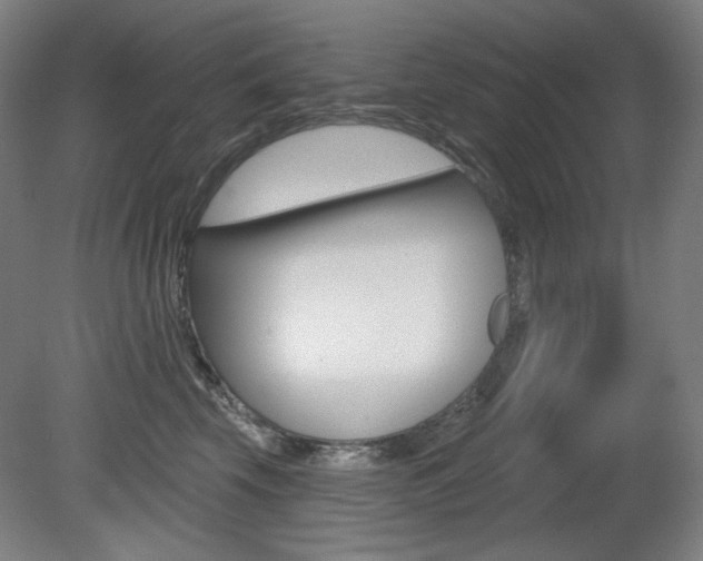 X0000080740569200612150935